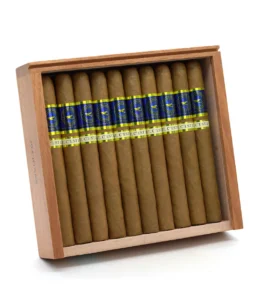 casa nicaragua azul churchill cigar