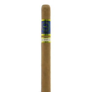 import placeholder for 6253