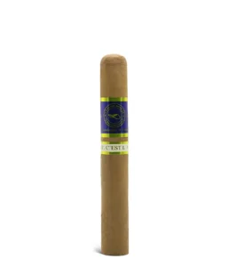 import placeholder for 6261