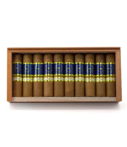 casa nicaragua azul gordo cigar