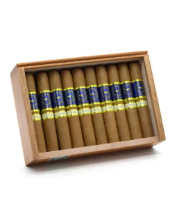 casa nicaragua azul robusto cigar