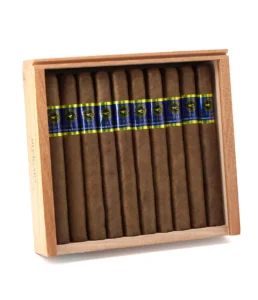 casa nicaragua brisas del tisey churchill cigar