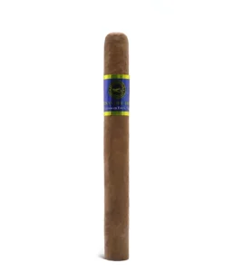 import placeholder for 6104