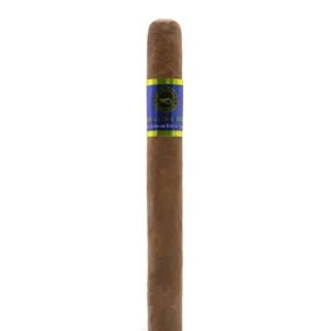 import placeholder for 6104