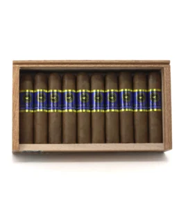 casa nicaragua brisas del tisey petit toro cigar