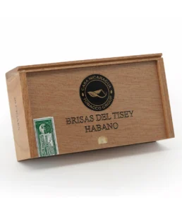 casa nicaragua brisas del tisey petit toro cigar