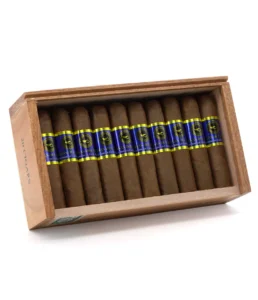 casa nicaragua brisas del tisey petit toro cigar