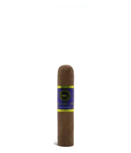 casa nicaragua brisas del tisey petit toro cigar