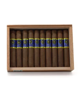 casa nicaragua brisas del tisey robusto cigar