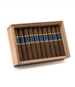 casa nicaragua brisas del tisey robusto cigar