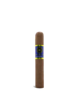 import placeholder for 6126