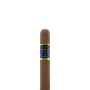 import placeholder for 6112