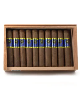 casa nicaragua brisas del tisey robusto extra cigar