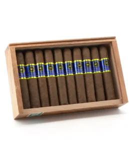 casa nicaragua brisas del tisey robusto extra cigar