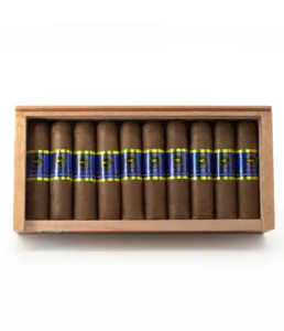 casa nicaragua brisas del tisey short gordo cigar