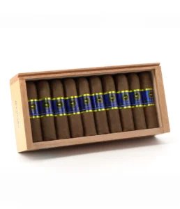 casa nicaragua brisas del tisey short gordo cigar