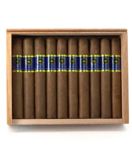 casa nicaragua brisas del tisey toro cigar
