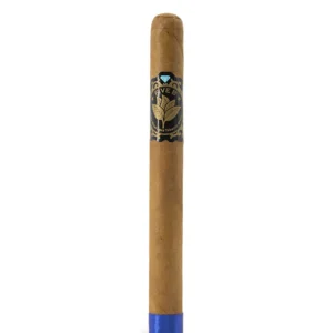 import placeholder for 6166