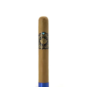 import placeholder for 6005