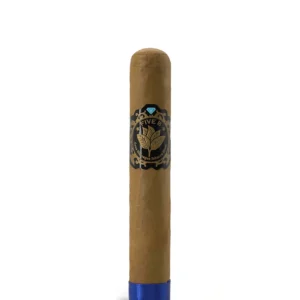 import placeholder for 6022