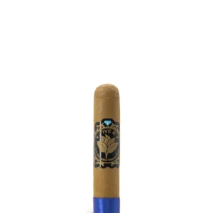 import placeholder for 5829