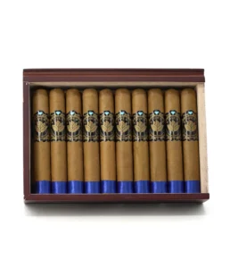 casa nicaragua five b robusto cigar