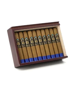 casa nicaragua five b robusto cigar