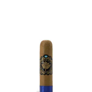 import placeholder for 5882