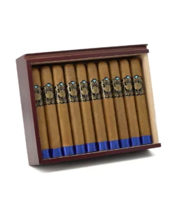 casa nicaragua five b sublime cigar