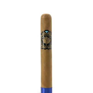 import placeholder for 5997