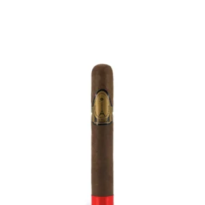 import placeholder for 6333