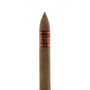 import placeholder for 6198