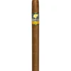 import placeholder for 1602