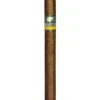 import placeholder for 1616