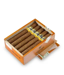 cohiba siglo vi cigar