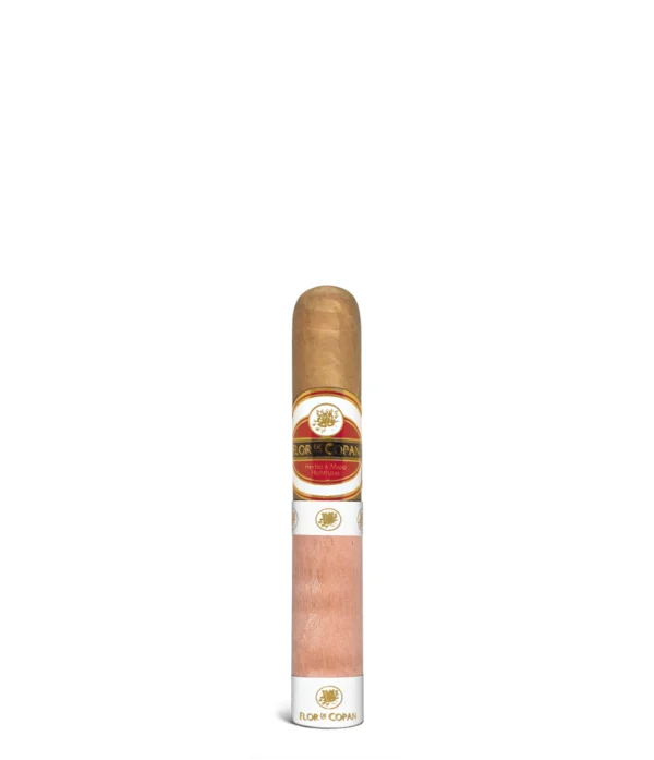 import placeholder for 2784
