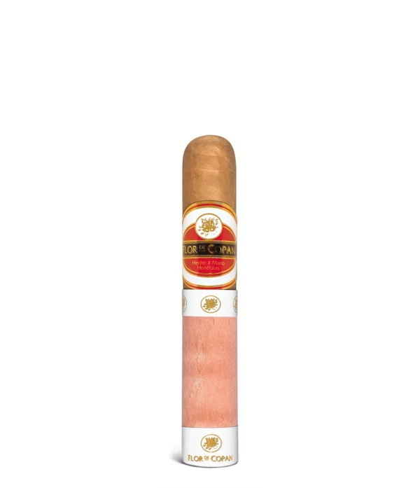 import placeholder for 2855