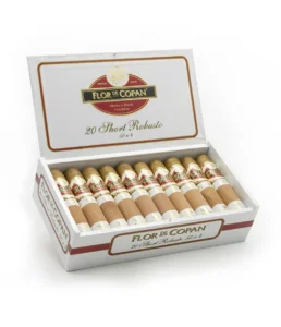 flor de copan short robusto cigar