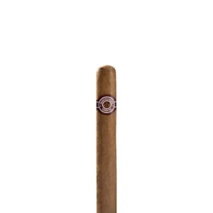import placeholder for 1972
