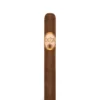import placeholder for 3988