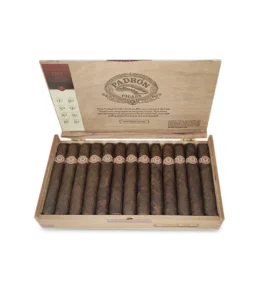 padron 2000 cigar