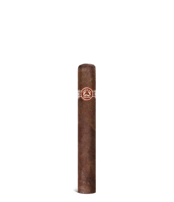 import placeholder for 5605