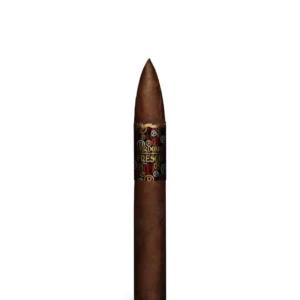 import placeholder for 5421