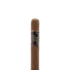 import placeholder for 5365