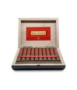 rocky patel sun grown robusto cigar