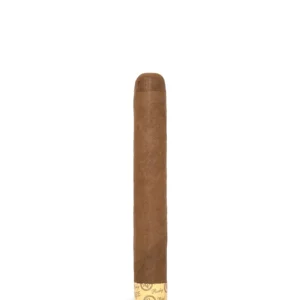 import placeholder for 6382