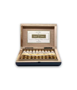 rocky patel vintage 1999 perfecto cigar