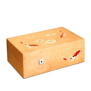import placeholder for 2445