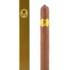 import placeholder for 2563